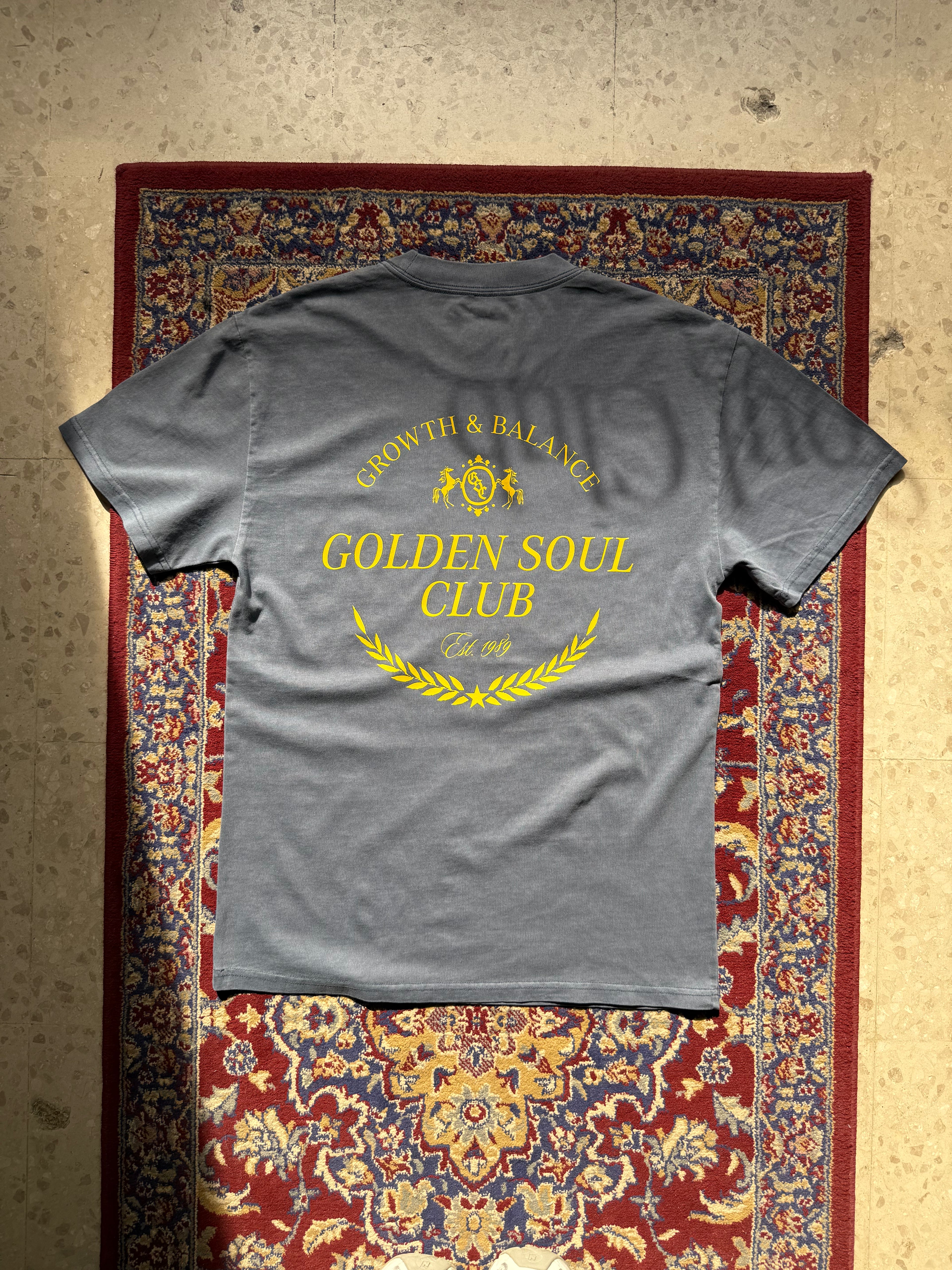 GSC Shield Oversized Tee