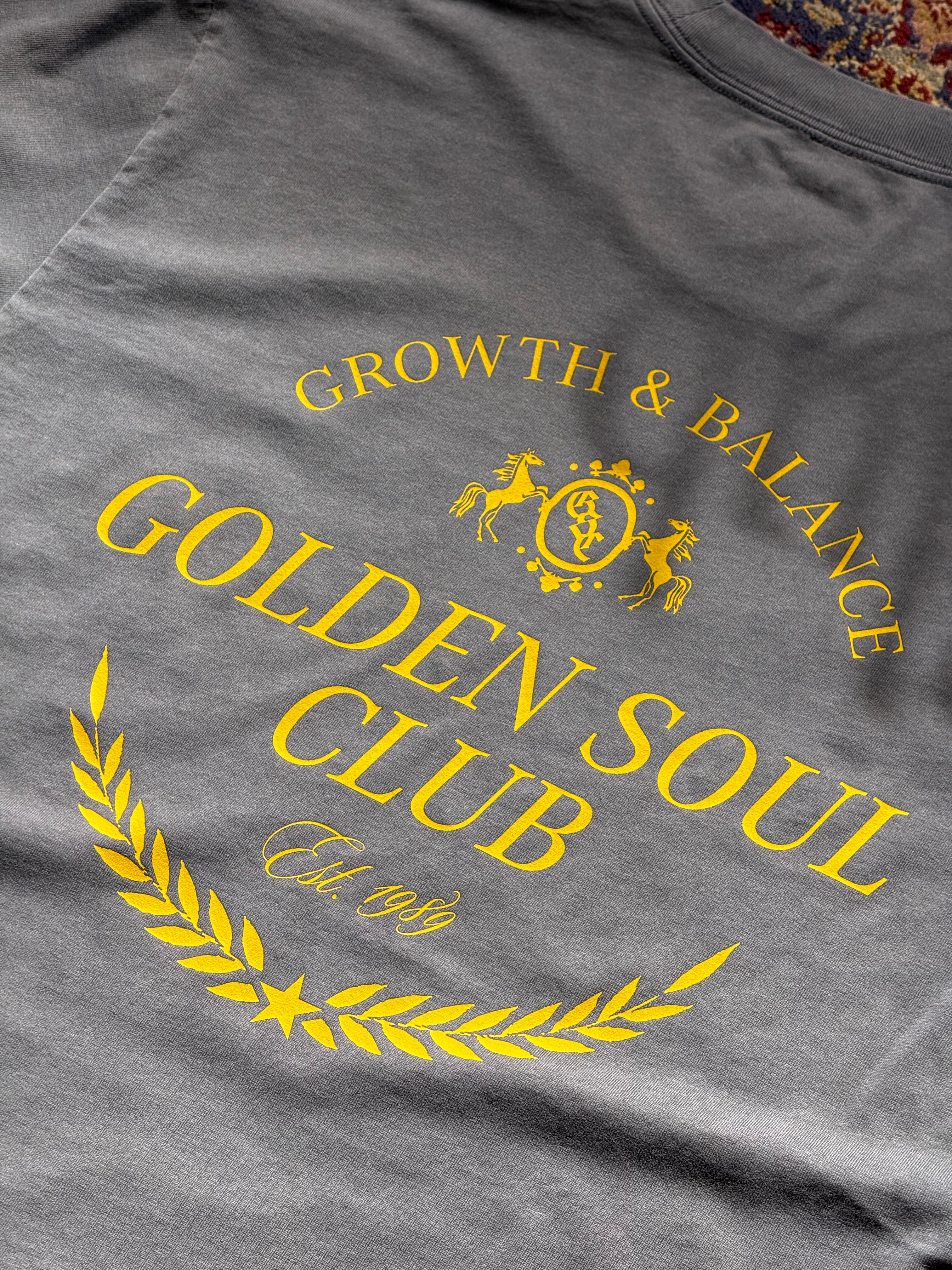 GSC Shield Oversized Tee