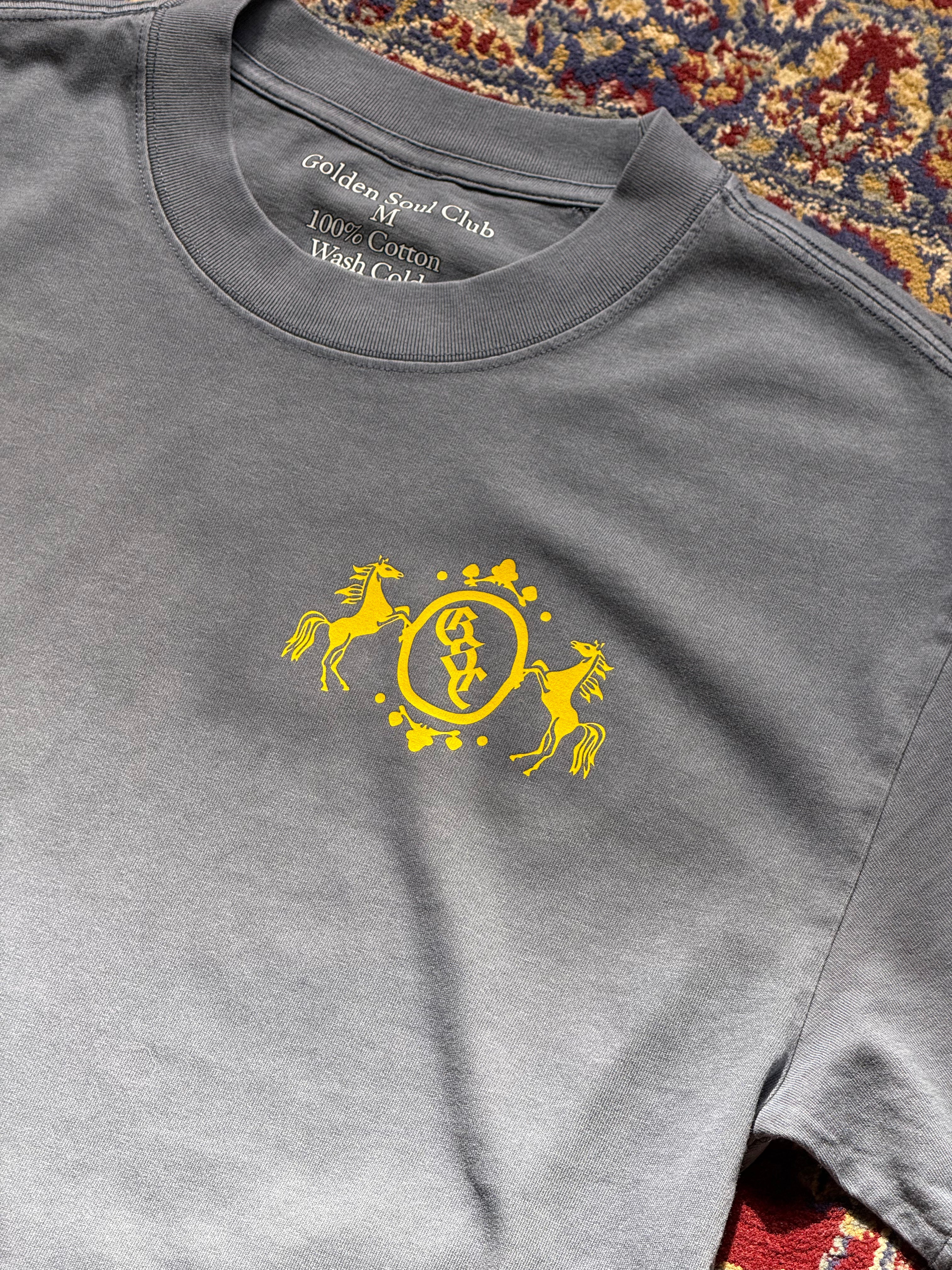 GSC Shield Oversized Tee